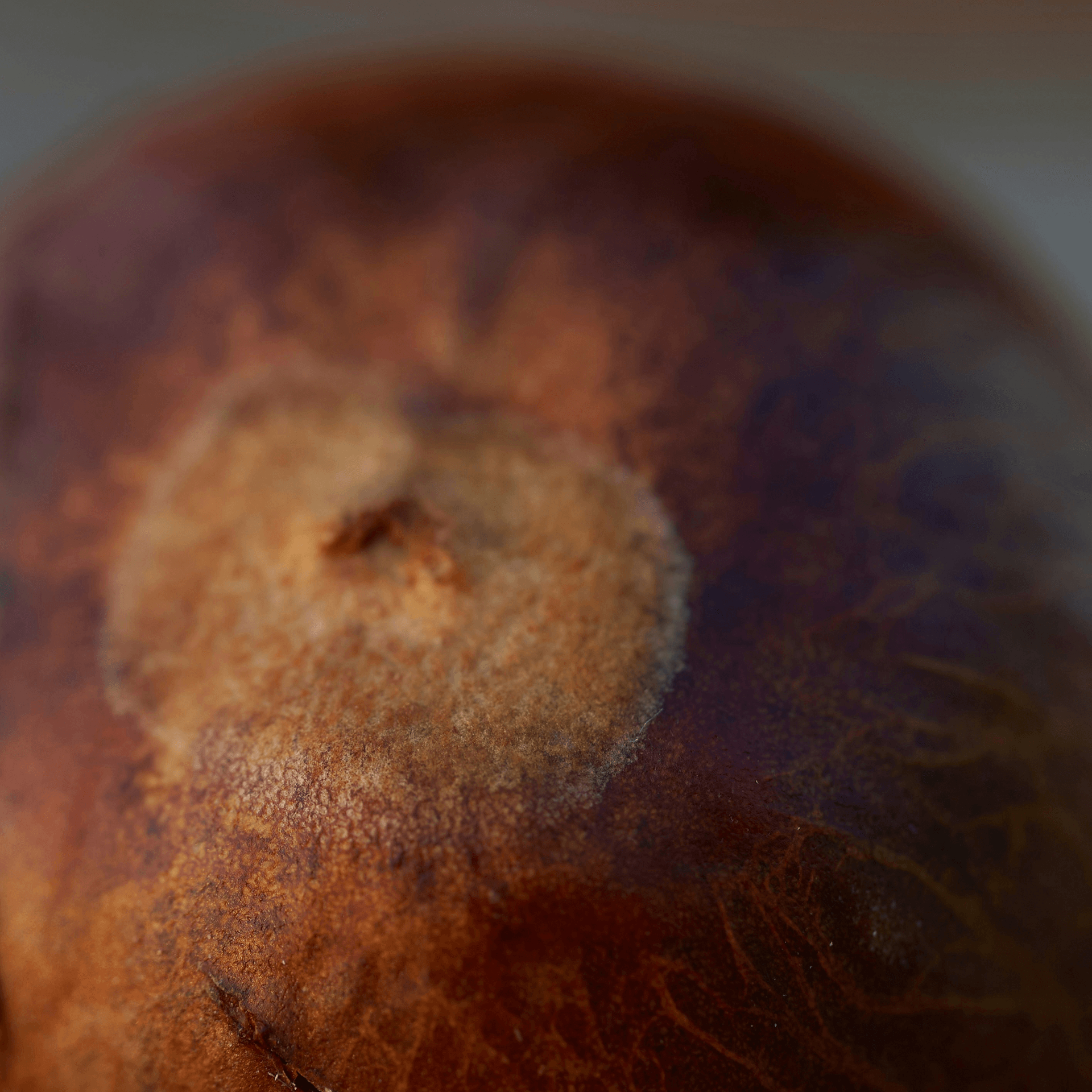 brown seed macro
